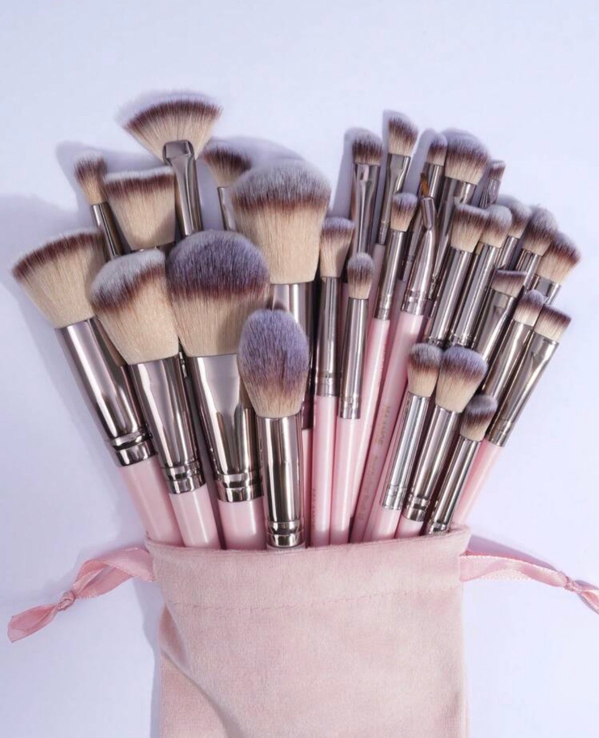 Professional Makeup Brush Set